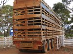 IMG_0346 Sheep transport by truck.JPG
