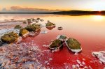 克里米亚的Koyashskoye粉色盐湖.jpg
