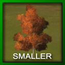 skl_tree_Sugar_Maple_(fall,_orange).png