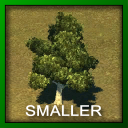 skl_tree_Sycamore.png