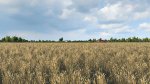 wheatfarm.jpg