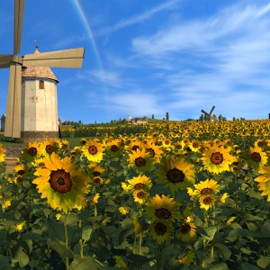 windmill in a sunflower field